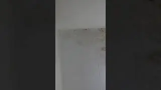 filtig
