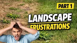 You&rsquo;re Killing Your Lawn (Without Realizing It) | Part 1 of Top 5 Landscape Frustrations