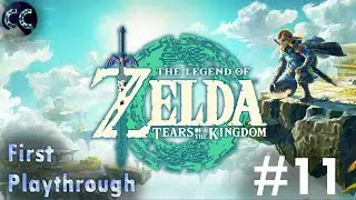Fighting Master Kohga - Tears Of The Kingdom Blind - 11