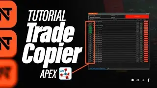 COPY TRADE na Ninja Trader Tutorial Completo