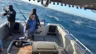 Catching a 102kg Southern Blue Fin Tuna off Queenscliff 