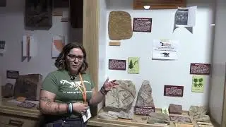 Ancient Environments