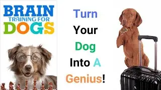 The Top Secret Brain Training for Dogs | Must-See Review for a Smarter Pup!