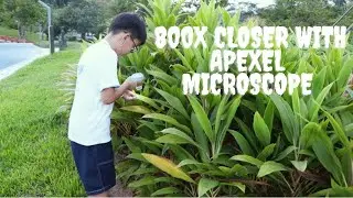 Unveiling the Micro World: 800X Closer with Apexel Microscope.