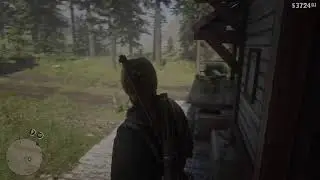 RED DEAD REDEMPTION II But I Fail