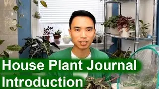 Channel Introduction | House Plant Journal