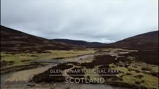 Scotland, Glen Tanar National Park