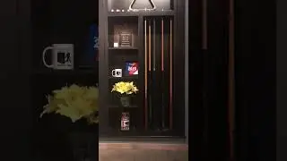 Alpha Pool Cue Door