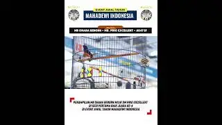PENAMPILAN MB OHARA REBORN MILIK OM PRIO EXCELLENT AK47 SF DI SESI PERTAMA RAIH JUARA 4 ‼️