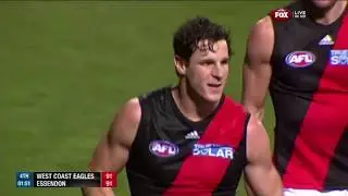 AFL Round 14 2013 - West Coast v. Essendon - Full Highlights