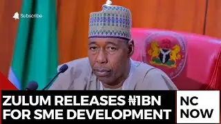 Governor Zulum Disburses ₦1bn to SMEs in Borno