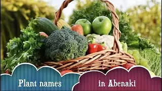 Plant names