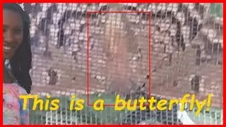 I found this on my window after watching a NDE video. Looks weird. Is it a sign from heaven?