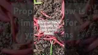 Proper air flow is important for your worms health