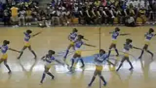2008-2009 MNW Golden Girls (FEATURE)