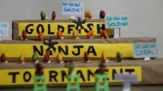 Goldfish Ninja Tournament