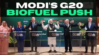 India led the world on biofuels but are we ready?