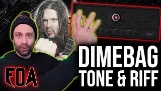 FOA #09 🔥 NEURAL DSP DIMEBAG TONE, '20 YEARS' Dimebag Tribute Song Riff, AMA