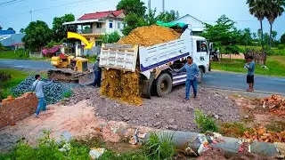 Start a New Project! Filling Delete Drain Flooded Area by Bulldozer D20 & 5Ton Truck Pushing Soil