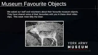 Silver Collar |  Museum Collection Favourite Objects