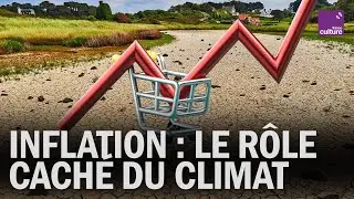 Comment LES PRIX DE NOS COURSES sont impactés par le réchauffement climatique