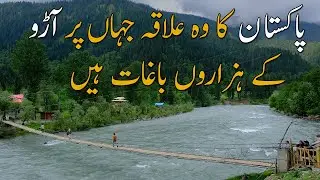 Pakistan Ka Wo Ilaqa Jaha Par Aarho Ke Hazaroon Baghat Hai | Matta Swat Valley | Travel Pakistan