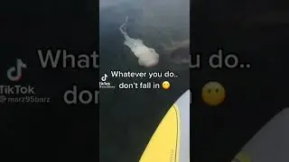 Giant jellyfish encounter 😱 | Lion's mane jellyfish | #shorts #sea