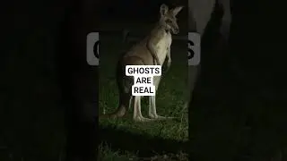 Ghosts Are Real