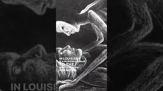 Legend of the Cauchemar #paranormal #louisiana #folklore #louisianahistory #cryptids