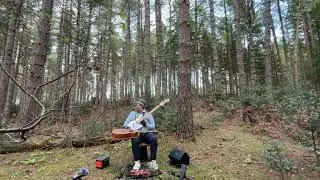 Crows of the Forest | a bass and guitar meditation (vol. 29) | Healing Sounds, ASMR, No AI