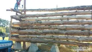 Log #31: Straightening a crooked log for LHBA Butt & Pass style log cabin.