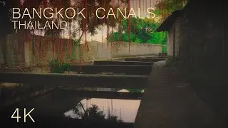 Hidden Canals of Bangkok Sunrise Ambience for Sleep & Study | Bangkok, Thailand | 4K ASMR