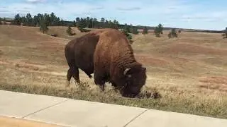 Establishing Residency In South Dakota