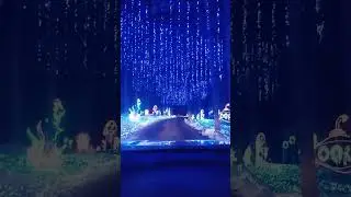 Joy Through the Grove at Knoebels Amusement Resort in Elysburg Pennsylvania 