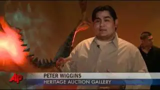 Massive Shark Jaw for Sale in Texas