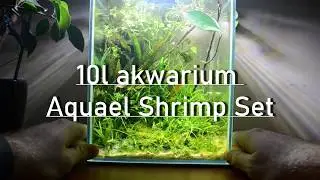 Akwarium, aquael shrimp set 10l