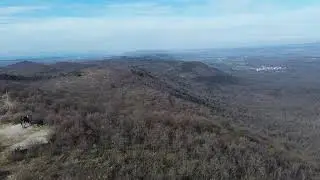 Volnik