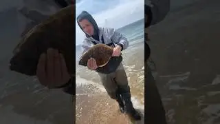 When you hook that PB fluke on accident while striper fishing. April Flukin&rsquo; #catchandrelease