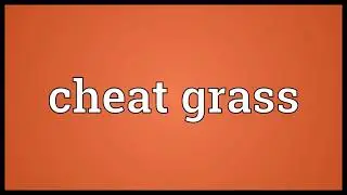 Cheat grass Meaning