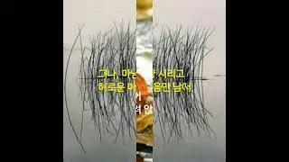 그리움이 낙엽이 되어