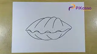 How to Draw a Clam Shell
