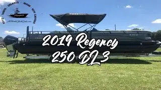 2019 Regency 250 DL3 w/ Mercury 300 (225 hrs) **Ruskin, FL**