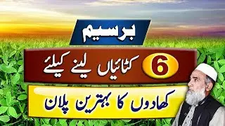 Fertilizer Plan for getting High yield of Berseem || Crop Reformer