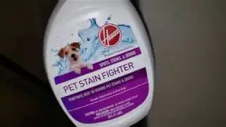 The BEST PET STAIN REMOVER, PERIOD🤩
