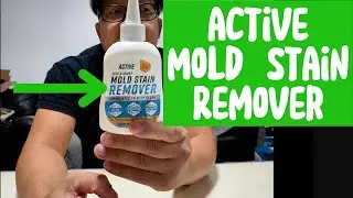 Quick Review Active Mold Stain Remover