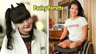 NCIS 2003 What Happened To The Cast After 22 Years  A lot of changes