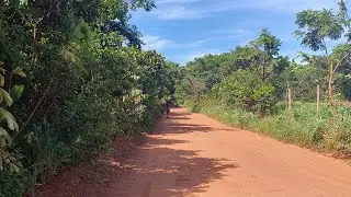 Rosânia Maria dos Santos Harpa cristã. está ao vivo!