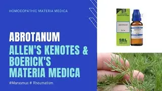 Abrotanum #HomoeopathicMateriaMedica #Boerick'MM #Allen'skeynotes