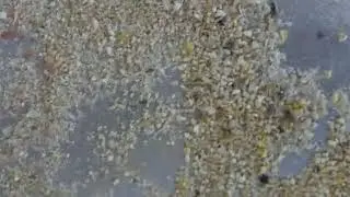 DSCF0360