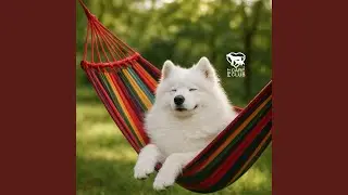 Sunlit Tranquility
